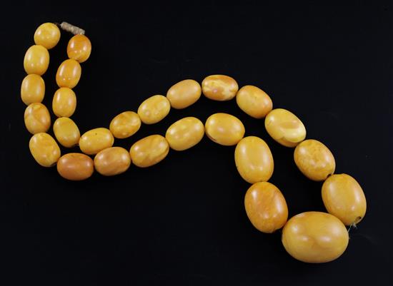 A single strand graduated oval amber bead necklace, 52cm.